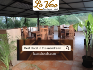 Best Hotel in Mandrem